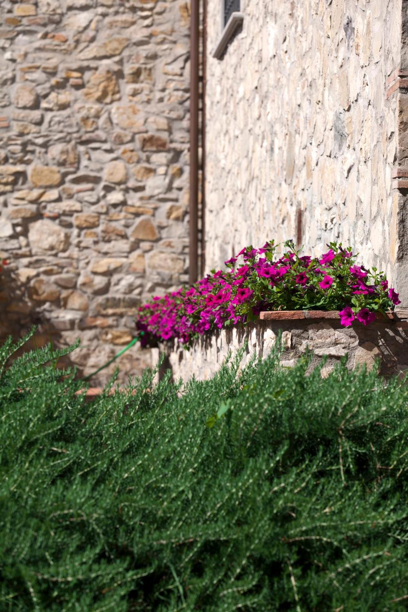 Agriturismo La Casa Di Rodo Quarrata Exterior photo